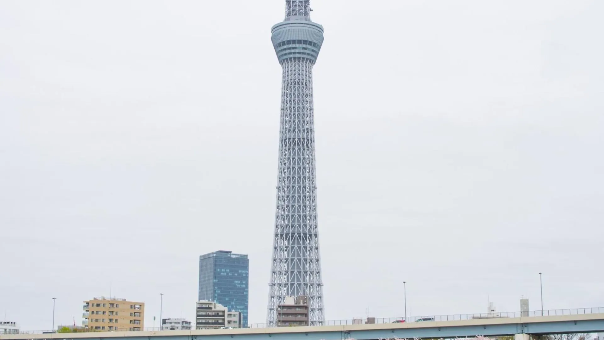 The Guest House Samurai Tokyo Japan